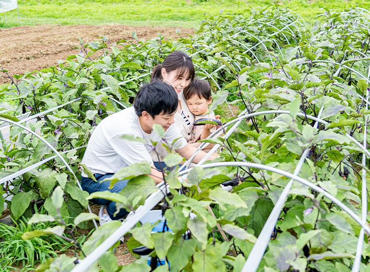 野菜収穫体験1