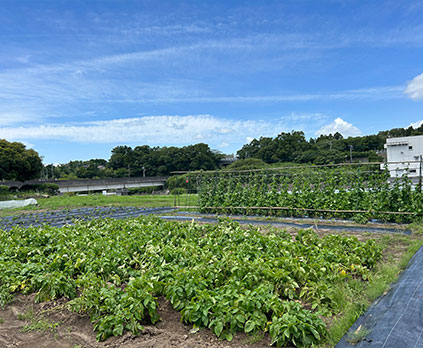 高滝農園（野菜収穫体験）