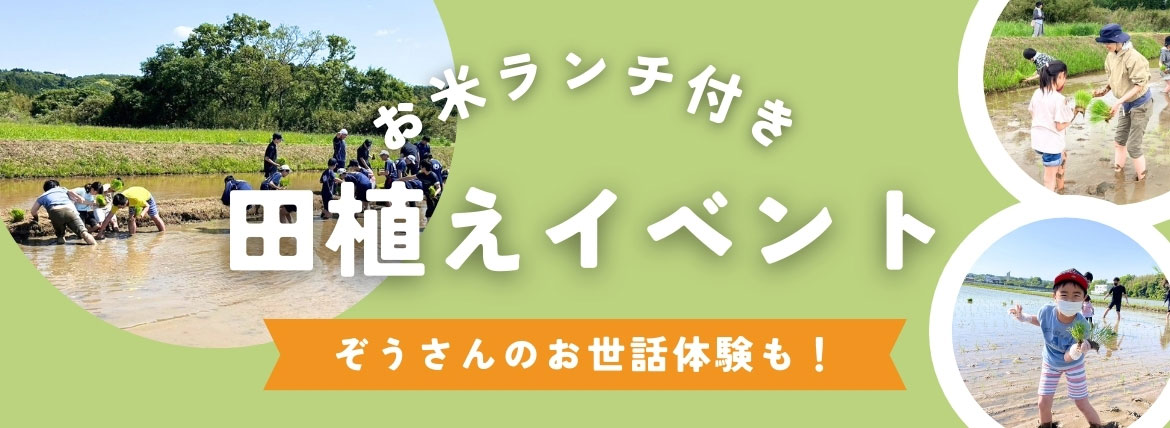 田植えイベント