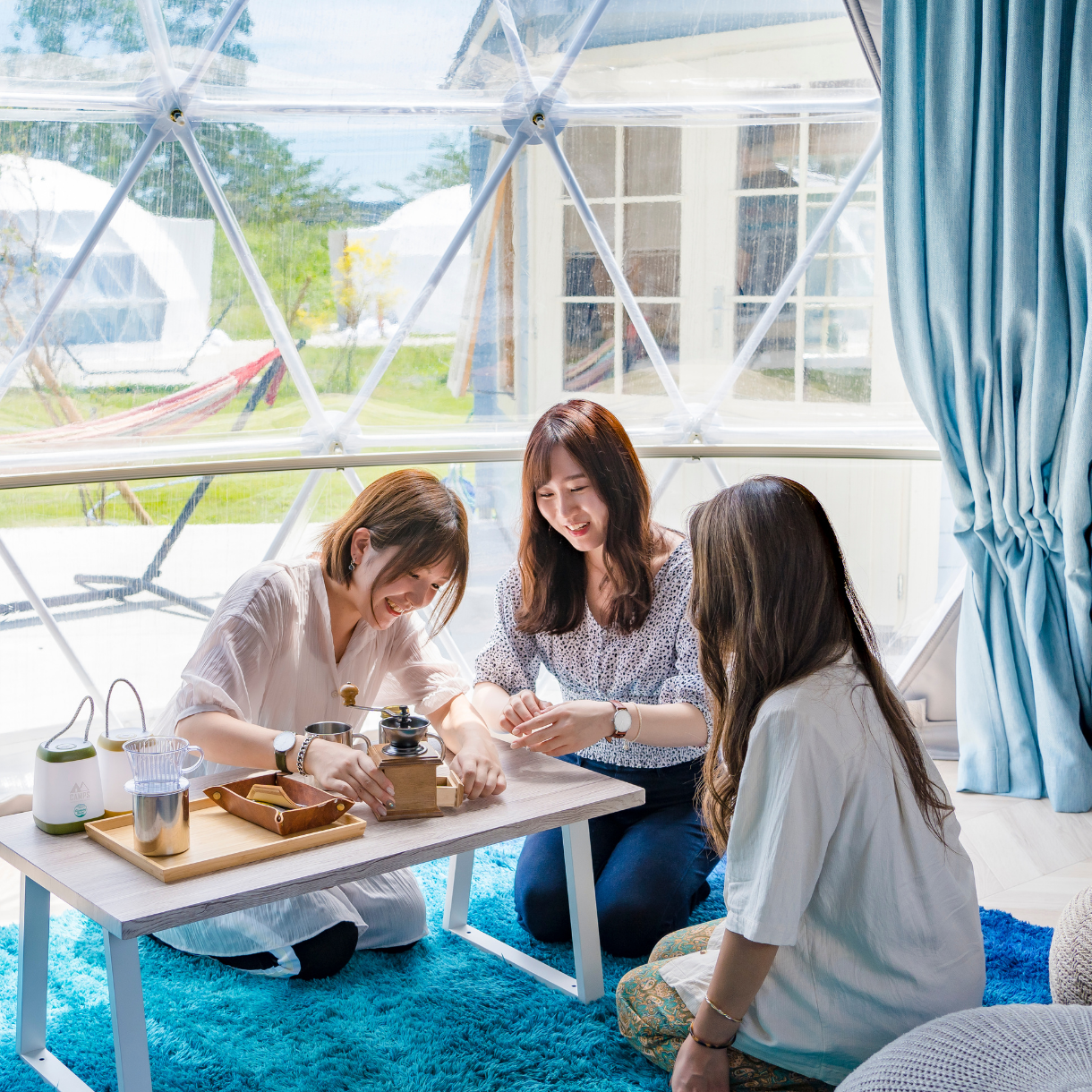 フォトギャラリー