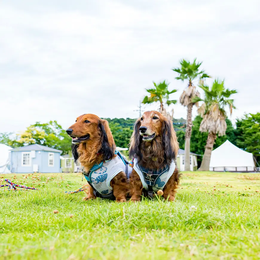 フォトギャラリー