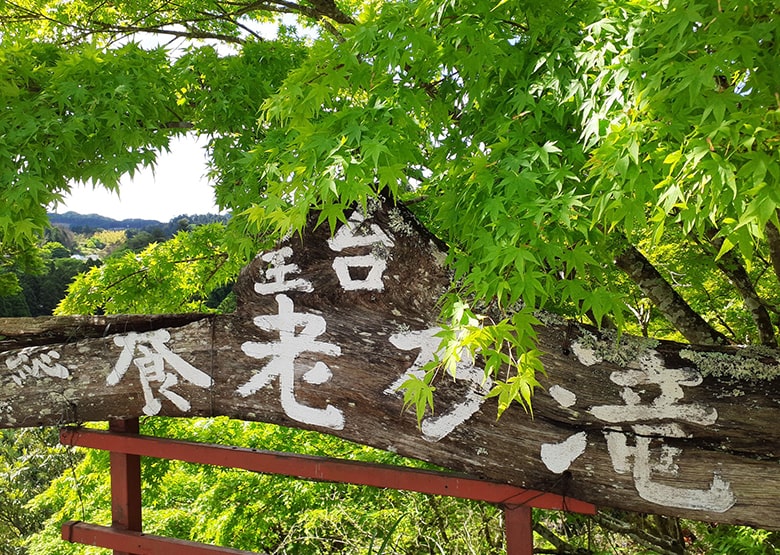 養老渓谷滝めぐり