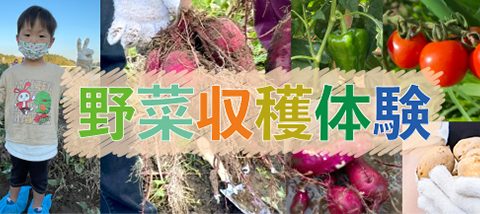 野菜収穫体験開催中!!