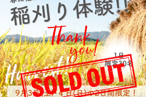 9月3日(土)・4日(日)〜2日間限定〜 稲刈り体験! 満員御礼!!