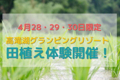 田植え体験開催!!