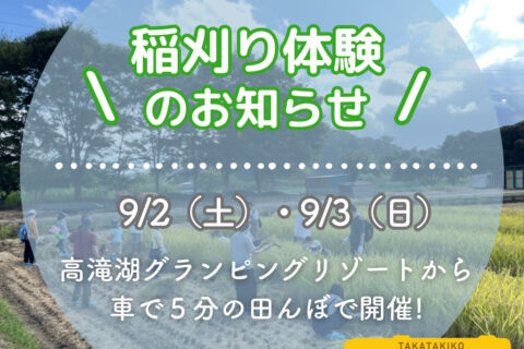 稲刈り体験開催!!