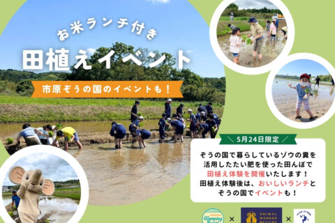 5月24日 田植えイベントのお知らせ