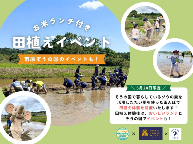 5月24日 田植えイベントのお知らせ