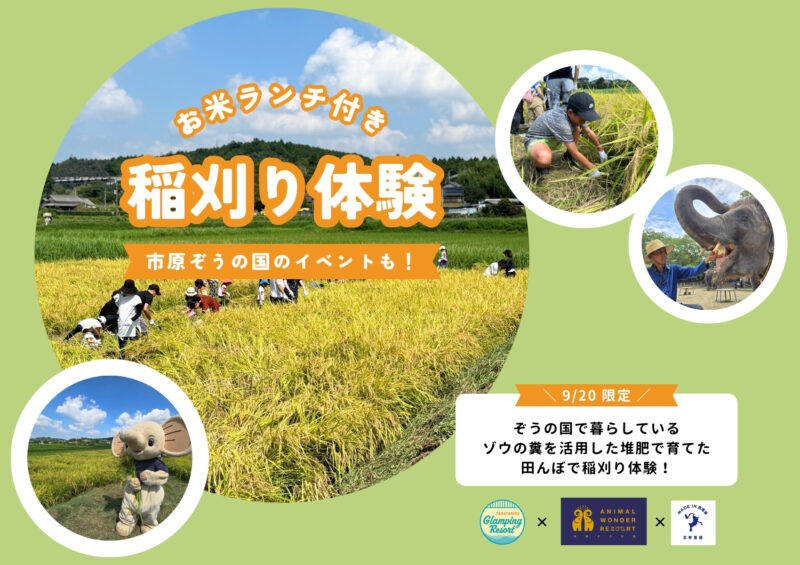 9/20(土) 限定開催 稲刈り体験のご案内