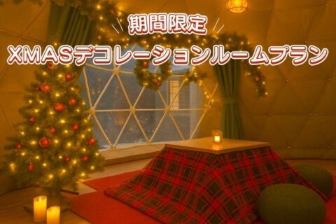 ★12月1日～25日限定★　クリスマスプランのご案内