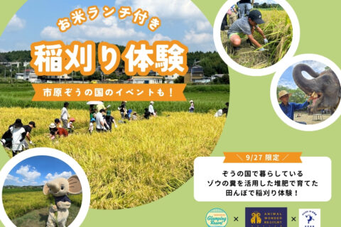 9/27(日) 限定開催 稲刈り体験のご案内